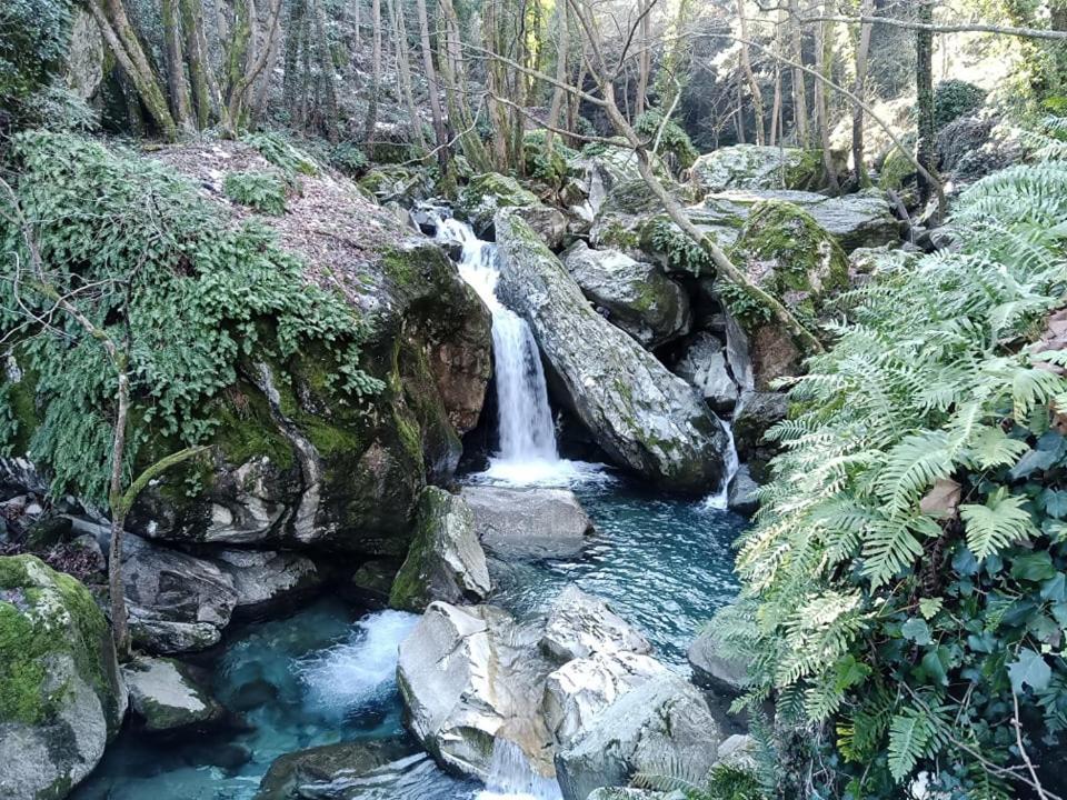Karidia Apartments Kissos  Dış mekan fotoğraf